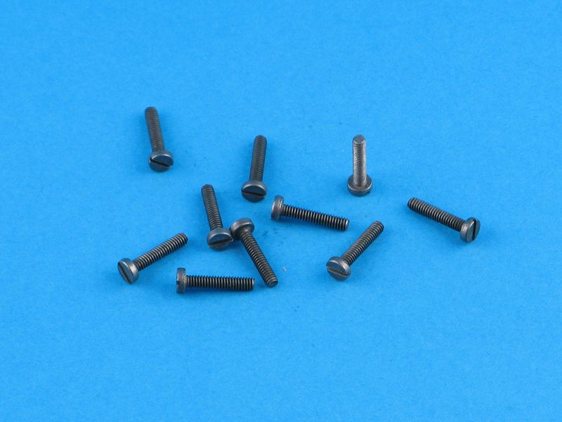 screw M2x10 (10)